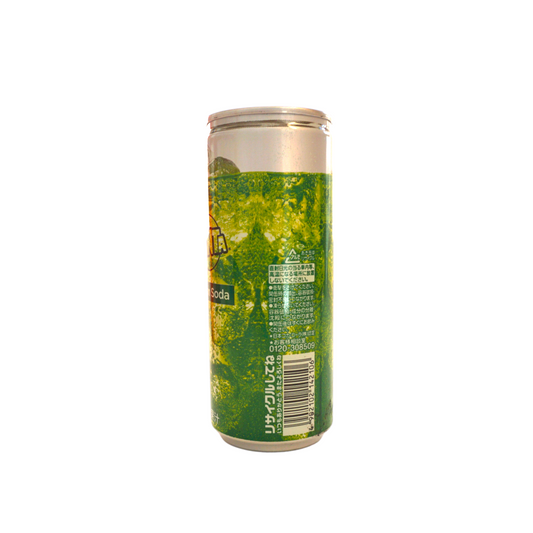 Fanta Melon Soda